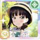 dia_UR5_b